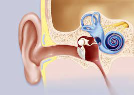 Tinnitus